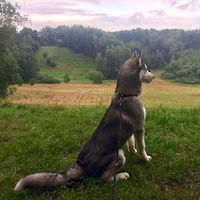 Altai Sky
