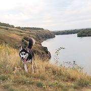 Die wilden Jahre: Shastas Teenagerzeit am Ufer des Dneper.