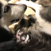 Das zweite Mal Mama!